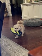 IMG_3255.jpeg