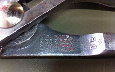 IMG_2081.jpeg