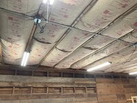 IMG_6387.jpeg