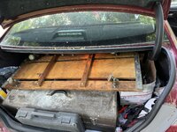 IMG_8726.jpeg