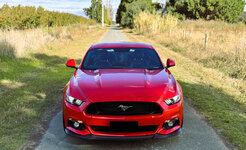 IMG-E0347.jpg