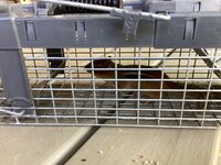 IMG_1118.jpeg IMG_1118.jpeg