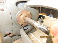 IMG_4731.JPG IMG_4731.JPG