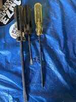 IMG_1179.jpeg
