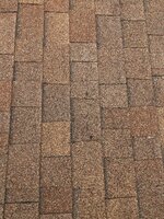 IMG_3918.jpeg