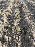 IMG_1299.jpeg IMG_1299.jpeg