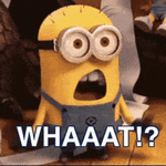 whaat-huh.gif