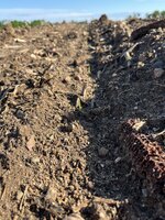 IMG_1314.jpeg IMG_1314.jpeg