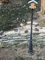 IMG_4599.jpeg IMG_4599.jpeg