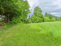unnamed-1.jpg