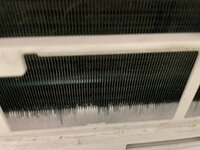 IMG_1728.jpeg