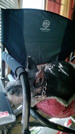 IMG_20240530_174424.jpg