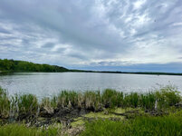 IMG_5995.jpg