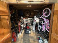 IMG_3279.jpeg IMG_3279.jpeg