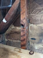 PXL_20230903_221328418 (1).jpg