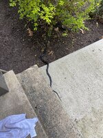 IMG_5933.jpeg