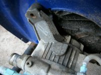 pressure washer and bug 003.jpg