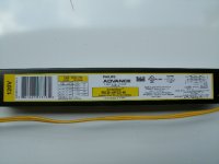 1980-Center-Light-16.JPG