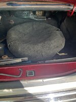 IMG_4238.jpeg IMG_4238.jpeg