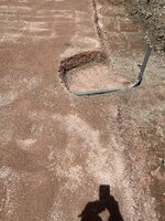 IMG_0142.jpeg
