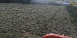 IMG_20230524_192753.jpg