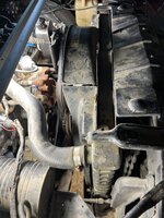 IMG_4270.jpeg