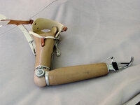 Elbow Spring.jpg
