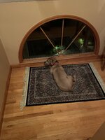 IMG_1084.jpeg