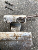 IMG_5434.jpeg