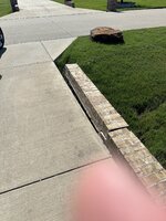 IMG_7284.jpeg