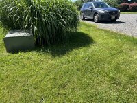 IMG_4496.jpeg