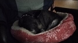 IMG_20240609_210549.jpg