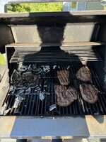 IMG_0359.jpeg