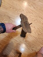 20240611_015121.jpg