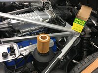 IMG_5600.jpeg IMG_5600.jpeg