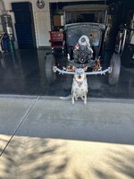 IMG_1315.jpeg