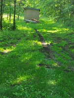 20240613_092510.jpg 20240613_092510.jpg