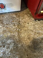 IMG_3957.jpeg