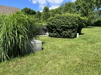 IMG_4497.jpeg