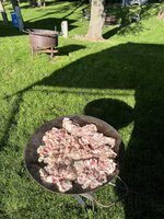 IMG_1458.jpeg IMG_1458.jpeg
