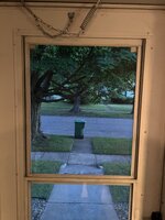 IMG_9489.jpeg