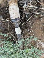 IMG_3928.jpeg