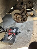 IMG_7952.jpeg