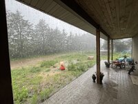IMG_1533.jpeg