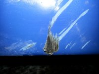 20130131_173948.jpg
