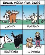 FB_IMG_1718913916266.jpg