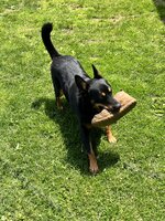 IMG_2888.jpeg