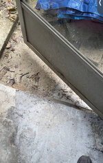 IMG_0158.jpeg