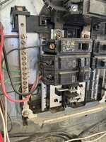 IMG_5332.jpeg