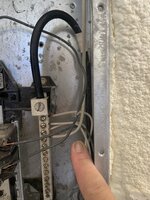 IMG_5334.jpeg